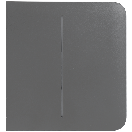 Panel de interruptor lateral doble AJAX Gris